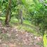  Land for sale in Selemadeg, Tabanan, Selemadeg