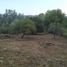  Land for sale in Punilla, Cordoba, Punilla