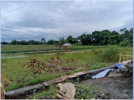  Land for sale in Prambanan, Klaten, Prambanan