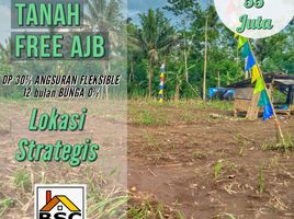  Land for sale in Malang Regency, East Jawa, Kepanjen, Malang Regency