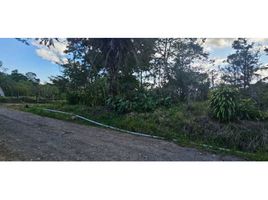  Land for sale in Chiriqui, Palmira, Boquete, Chiriqui