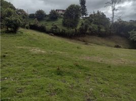  Grundstück zu verkaufen in Guarne, Antioquia, Guarne, Antioquia, Kolumbien