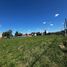  Land for sale in Moreno, Buenos Aires, Moreno