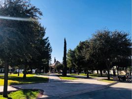  Grundstück zu verkaufen in Torreon, Coahuila, Torreon