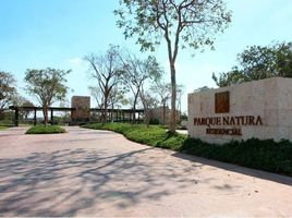  Grundstück zu verkaufen in Conkal, Yucatan, Conkal