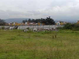  Land for sale in Conocoto, Quito, Conocoto