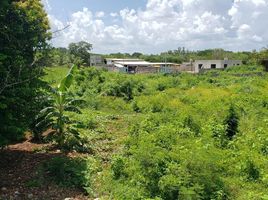  Terreno (Parcela) en venta en Merida, Yucatán, Merida, Yucatán