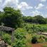  Terreno (Parcela) en venta en Merida, Yucatán, Merida, Yucatán
