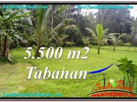  Land for sale in Penebel, Tabanan, Penebel