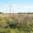  Land for sale in La Plata, Buenos Aires, La Plata