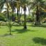  Grundstück zu verkaufen in Othon P Blanco, Quintana Roo, Othon P Blanco