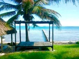  Grundstück zu verkaufen in Othon P Blanco, Quintana Roo, Othon P Blanco