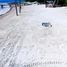  Grundstück zu verkaufen in Othon P Blanco, Quintana Roo, Othon P Blanco