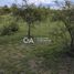  Land for sale in Calamuchita, Cordoba, Calamuchita