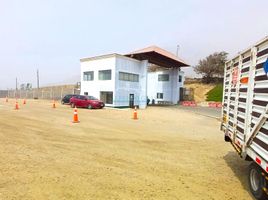  Grundstück zu verkaufen in Lurigancho, Lima, Lurigancho, Lima, Lima, Peru