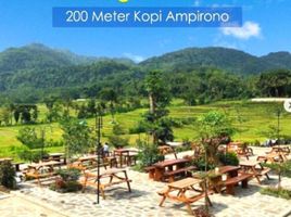  Land for sale in Yogyakarta, Pengasih, Kulon Progo, Yogyakarta