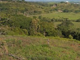  Land for sale in Cali, Valle Del Cauca, Cali