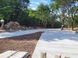  Terreno (Parcela) en venta en Cozumel, Quintana Roo, Cozumel, Quintana Roo