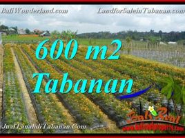  Terrain for sale in Baturiti, Tabanan, Baturiti