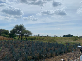  Terreno (Parcela) en venta en Ocotlan, Jalisco, Ocotlan