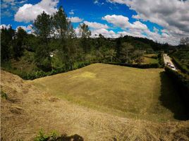Terrain à vendre à Rionegro, Antioquia, Rionegro, Antioquia