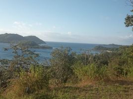  Land for sale in Lombok Barat, West Nusa Tenggara, Sekotong Tengah, Lombok Barat