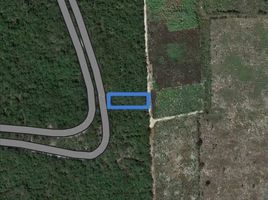  Terreno (Parcela) en venta en Yaxkukul, Yucatán, Yaxkukul, Yucatán