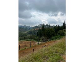  Land for sale in Guarne, Antioquia, Guarne