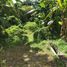  Terreno (Parcela) en venta en Kerobokan, Bali, Kerobokan, Badung