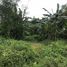  Terreno (Parcela) en venta en Kerobokan, Bali, Kerobokan, Badung