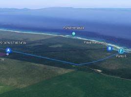  Grundstück zu verkaufen in Othon P Blanco, Quintana Roo, Othon P Blanco