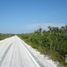  Grundstück zu verkaufen in Othon P Blanco, Quintana Roo, Othon P Blanco