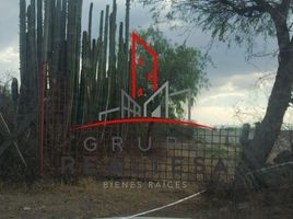  Grundstück zu verkaufen in Tequisquiapan, Queretaro, Tequisquiapan