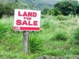 Terrain à vendre à San Juan, Calabarzon, San Juan, Batangas