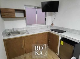 1 Bedroom Apartment for rent in Coatepec, Veracruz, Coatepec
