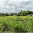  Terreno (Parcela) en venta en San Miguelito, Panamá, Rufina Alfaro, San Miguelito