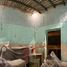 6 Schlafzimmer Villa zu verkaufen in Merida, Yucatan, Merida, Yucatan