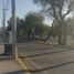  Terreno (Parcela) en venta en Celaya, Guanajuato, Celaya