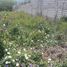  Terreno (Parcela) en venta en Tumbaco, Pichincha, Tumbaco