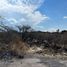  Land for sale in Salamanca, Guanajuato, Salamanca