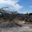  Land for sale in Salamanca, Guanajuato, Salamanca