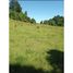  Land for sale in Osorno, Los Lagos, San Pablo, Osorno