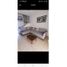3 Bedroom House for rent in Cozumel, Quintana Roo, Cozumel