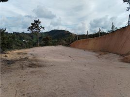  Terreno (Parcela) en venta en San Vicente, Antioquia, San Vicente