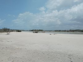  Terreno (Parcela) en venta en Rio Lagartos, Yucatán, Rio Lagartos