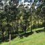  Terrain for sale in El Carmen De Viboral, Antioquia, El Carmen De Viboral