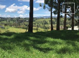  Grundstück zu verkaufen in El Carmen De Viboral, Antioquia, El Carmen De Viboral