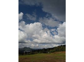  Terreno (Parcela) en venta en La Ceja, Antioquia, La Ceja