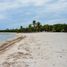  Land for sale in Quintana Roo, Cozumel, Quintana Roo