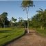  Land for sale in Merida, Yucatan, Merida, Yucatan